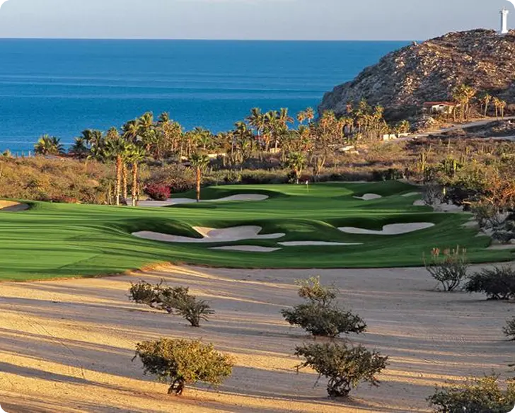 Cove Club Golf Course - featured image