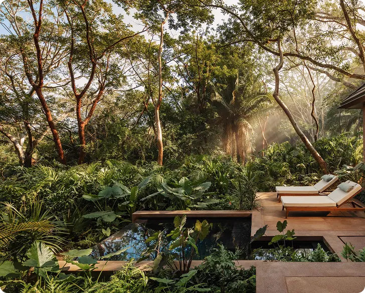 Habitación Banyan Tree Mayakoba