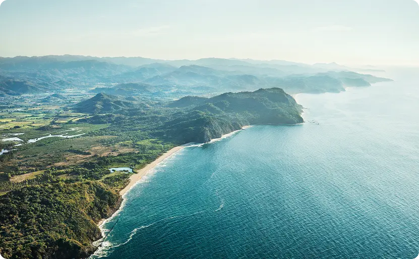 One & Only Mandarina